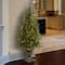 4 ft. Pre-Lit Potted Dunhill&#xAE; Fir Artificial Entrance Christmas Tree, Clear Lights